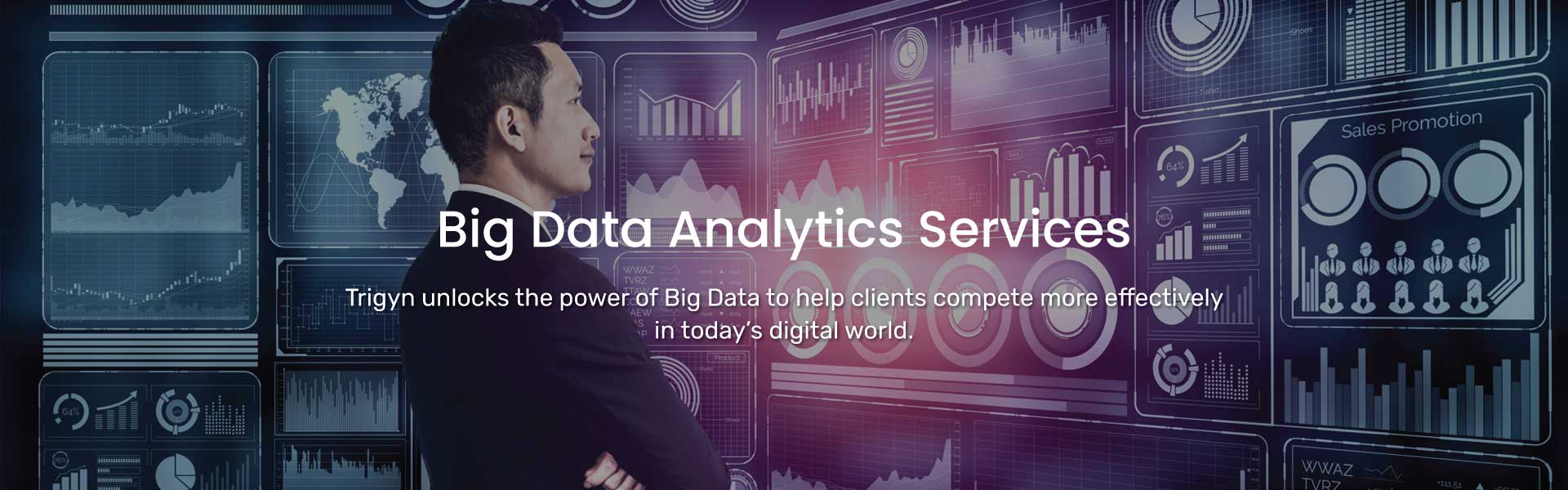 Trigyn's Big Data Analytics Services