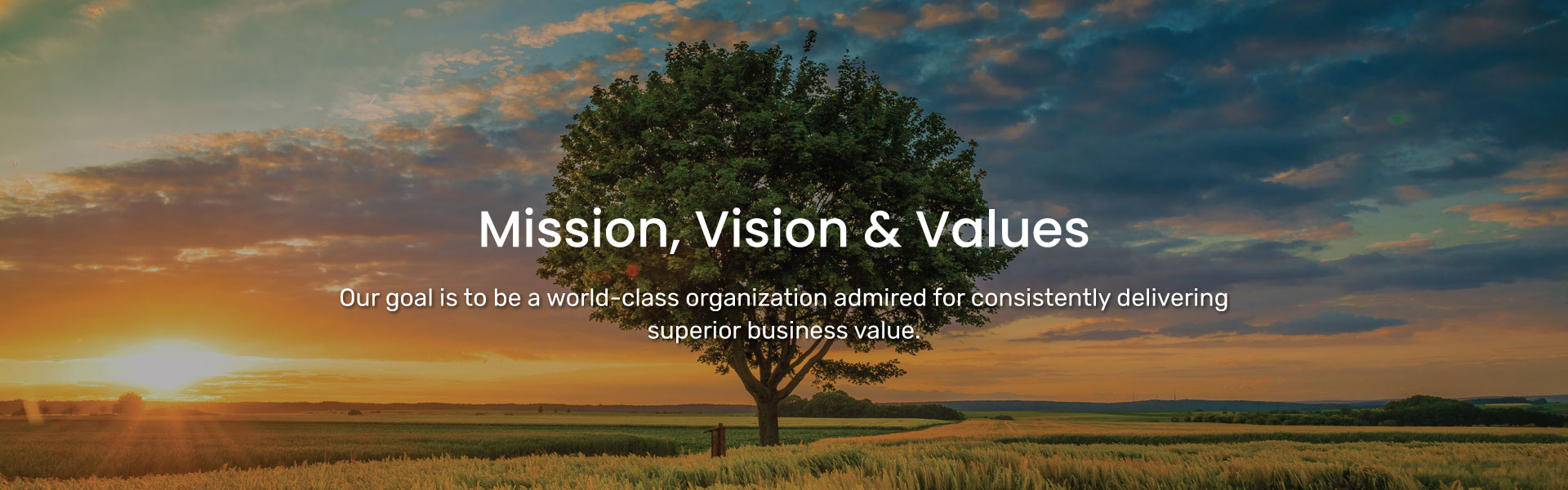 Trigyn’s Mission