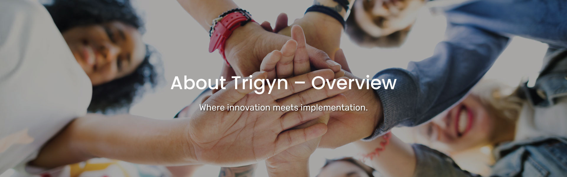 About Trigyn - Overview