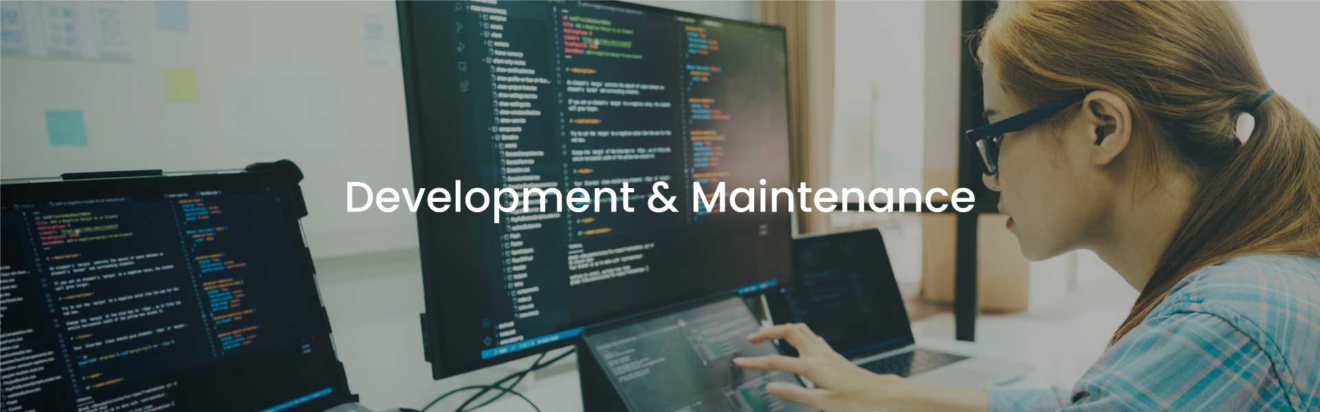 Development & Maintenance