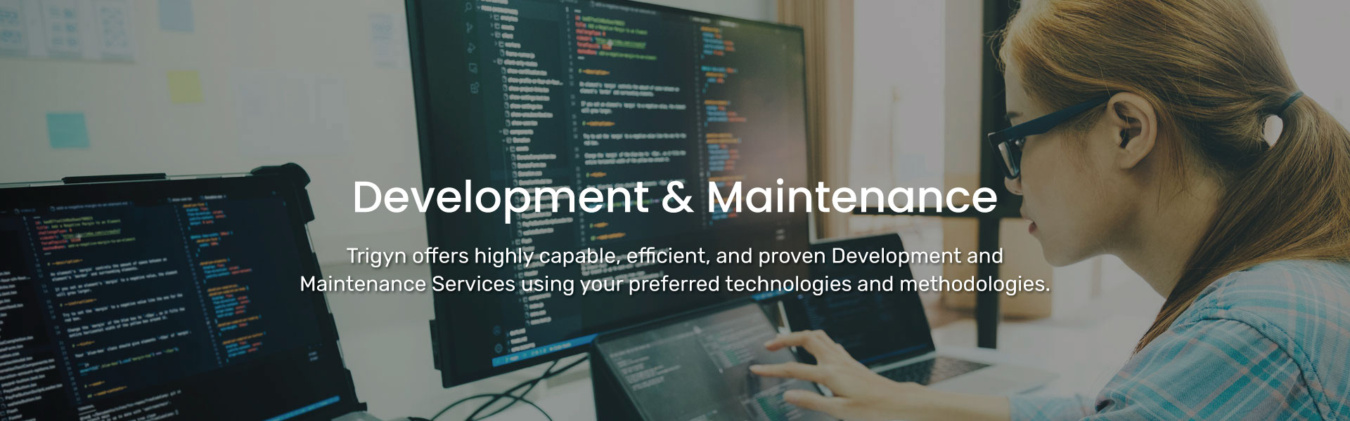 Trigyn's Development & Maintenance Services