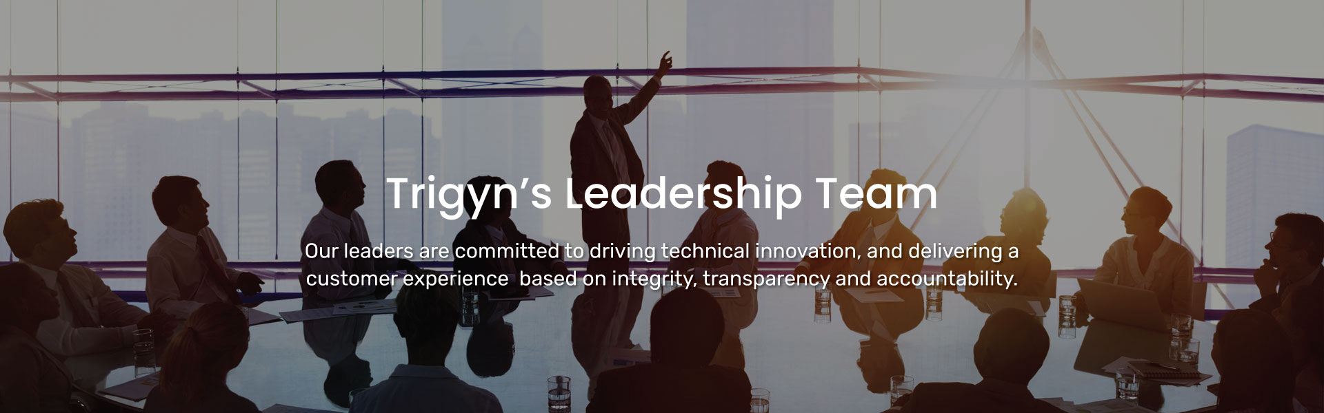 Trigyn's Leadership Team