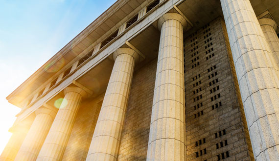 Government and Intergovernmental Organisations