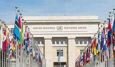Case Study: Global IT Managed Services an International Governmental Organization