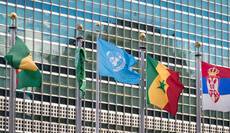 Case Study: IT Staffing for an international Governmental Organization